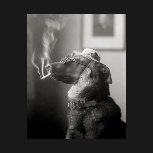 Portrait of a Dog, 1923. Vintage Photo by historyphoto