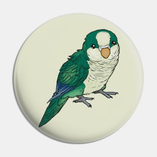 Bluegreen quaker Pin