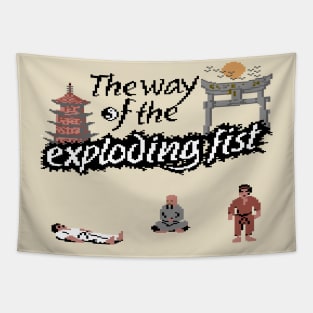 Way of the Exploding Fist Tapestry