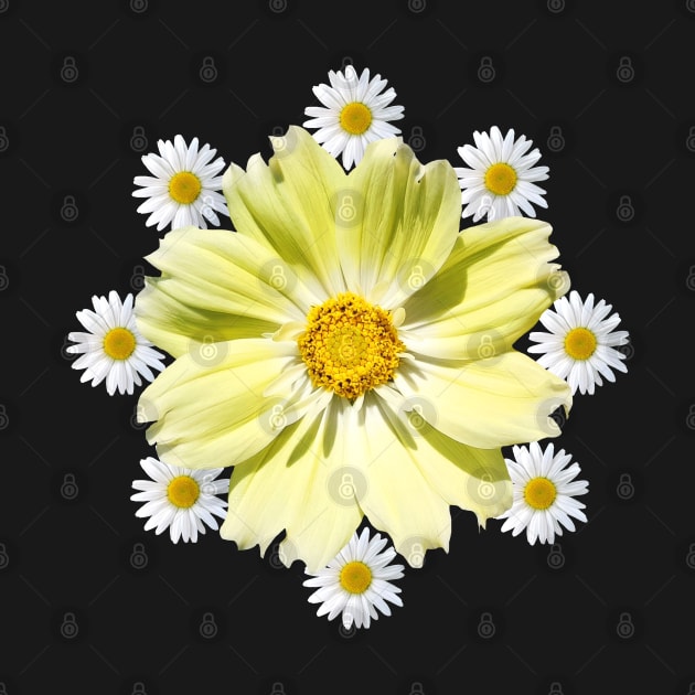 daisy flower tendril cosmosflower daisies floral by rh_naturestyles