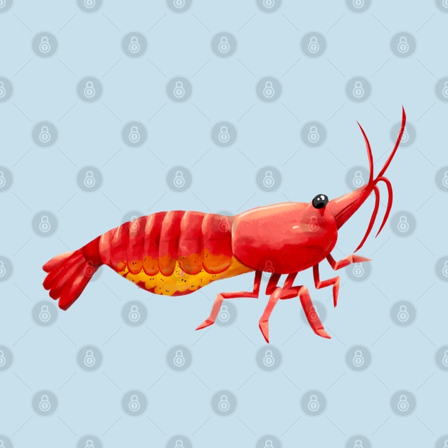 Pregnant Aquarium Cherry Shrimp by narwhalwall