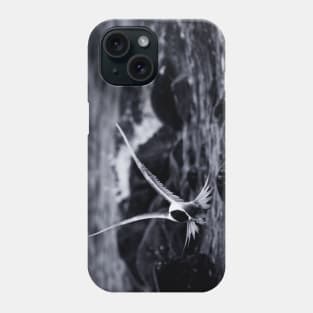 Crested Tern_VOA8098 Phone Case