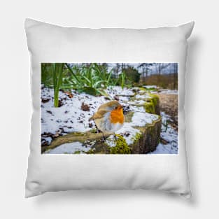 Robin Redbreast in Snow Pillow