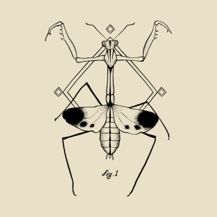 Fig 1. Mantid T-Shirt