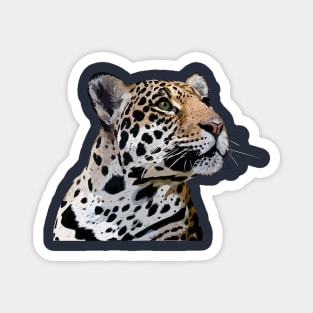 Jaguar Magnet