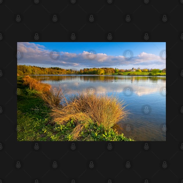 Hardwick Park Lake, County Durham by MartynUK