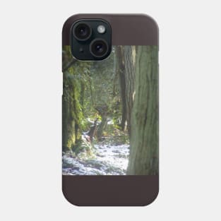 Forest Sun Rays in the Snow #46 Phone Case