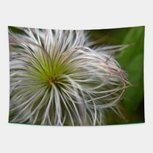 Fluffy Allium Natural Tapestry