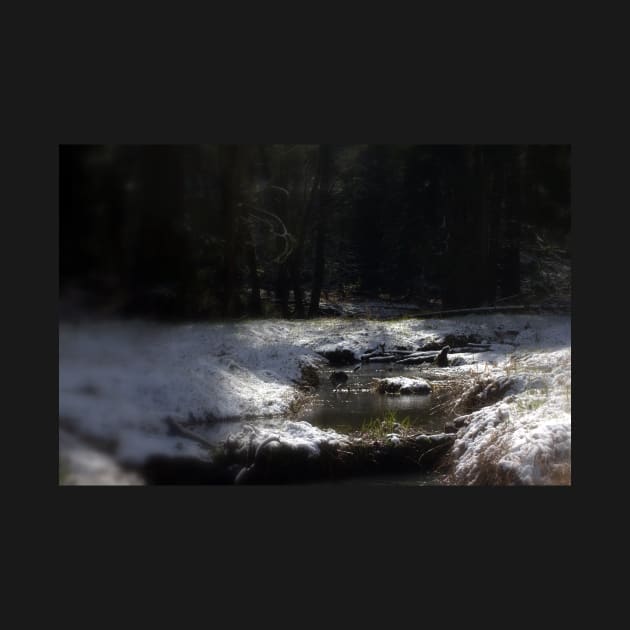 snowy Oregon forest, fox creek 11 by DlmtleArt