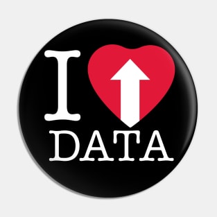 I Heart Big Data Pin