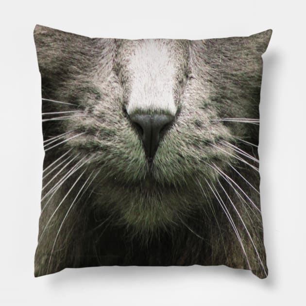 Cute Cat Whiskers Face Pillow by Family shirts