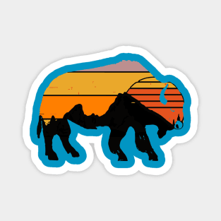sunset buffalo Magnet