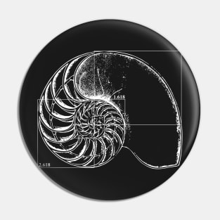 Fibonacci on a nautilus shell Pin