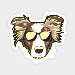 Border Collie Face Neon Brown Magnet