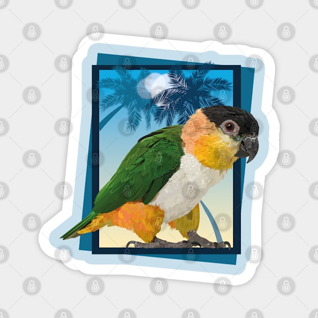 caique Magnet by obscurite