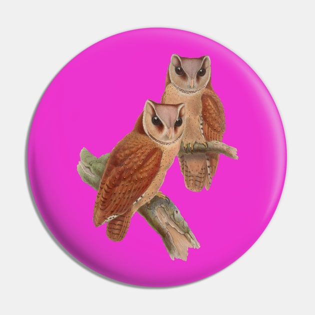 Pair of Owls Painting Pin by PatrioTEEism