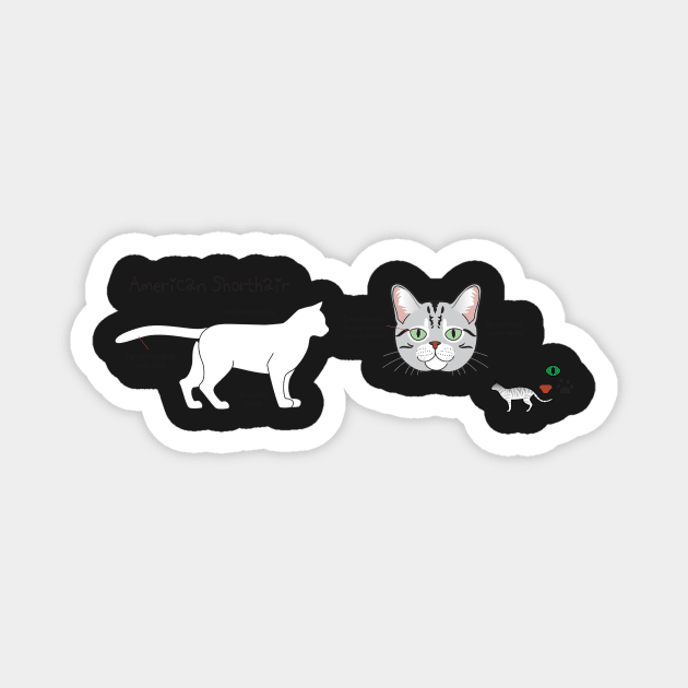 American Shorthair mug Magnet by Cedarseed