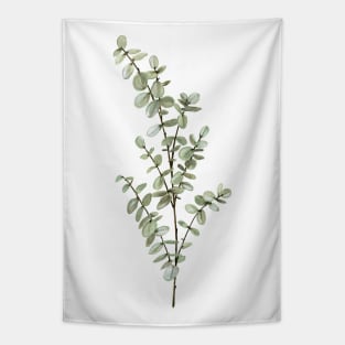 Baby Blue Eucalyptus Tapestry