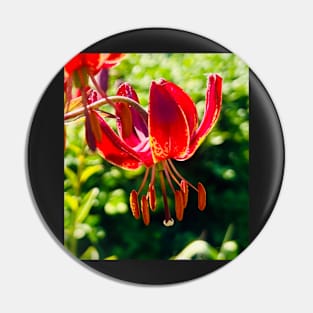 Fall Lily is Lit UP Pin