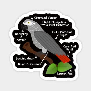 Anatomy of an African Grey Parrot Magnet