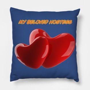 My beloved hostess Pillow