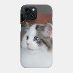the chubby cute cats Phone Case