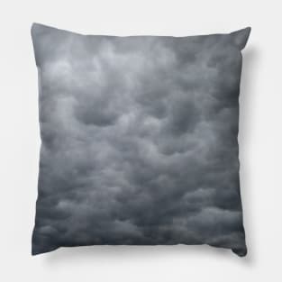 Storm Coming Better Hide Pillow