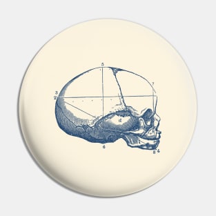 Human Skull - Side View - Vintage Anatomy Pin