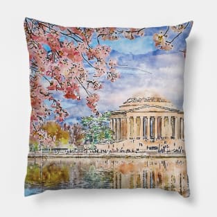 Washington DC Pillow