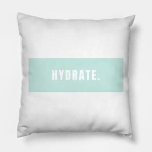 Hydrate, Minimalistic Mint Design Pillow