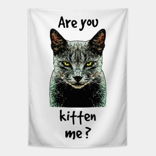 Are You Kitten Me? Tapestry