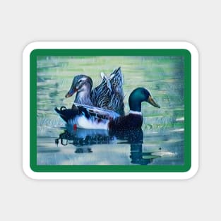 Mallard Duck Pair Magnet