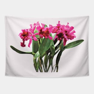 Orchid Chorus Line Tapestry