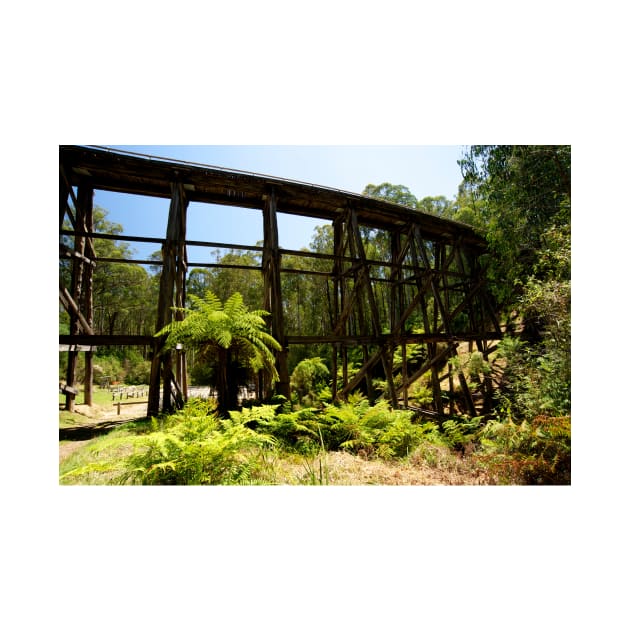 Noojee Trestle Bridge by GP1746