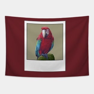 Scarlet Macaw- Digital illustration Tapestry