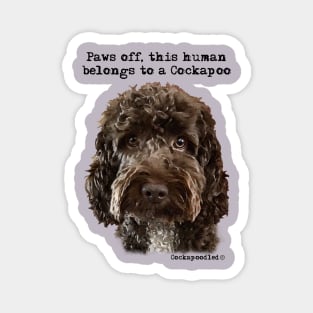 Cockapoo Dog Magnet