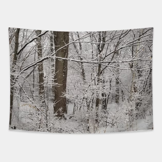 Snowy Forest Tapestry by Tara Liz Art