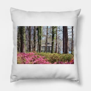 Gardens Of Greenfield Lake Pillow