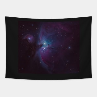 The Great Orion Nebula Tapestry