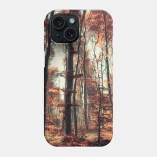 Fall in the woods Phone Case