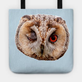 Winking Long Eared Owl Tote