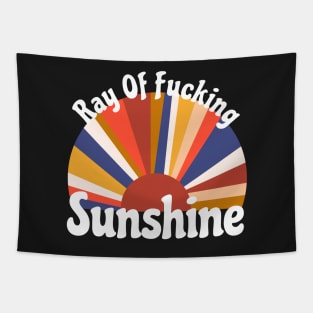 Ray Of Fucking Sunshine Tapestry