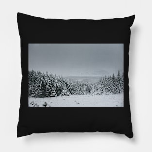 Forest in Wicklow Gap Snow Pillow