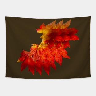 Autumnal fire colored leaves Tapestry