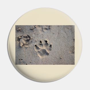 A paw in the sand Pin