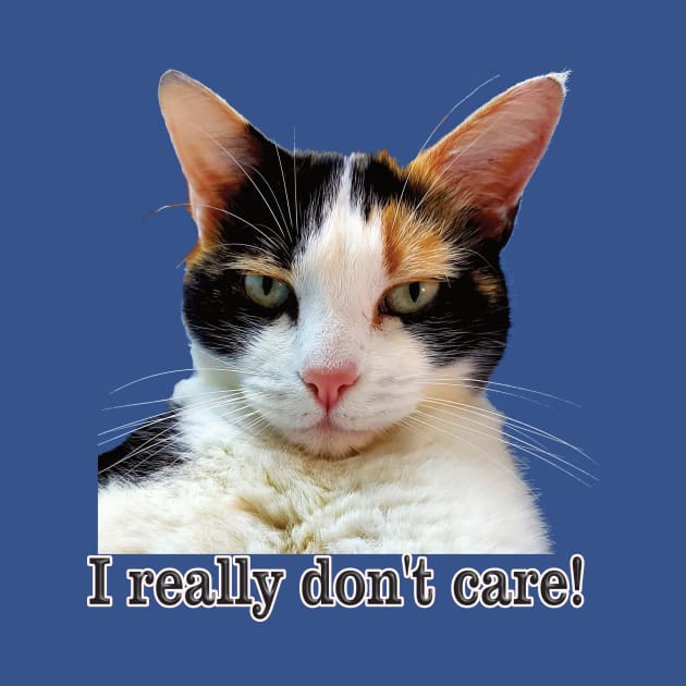 Cute Calico Cat with Attitude – I Really Don't care! by Captain Peter Designs