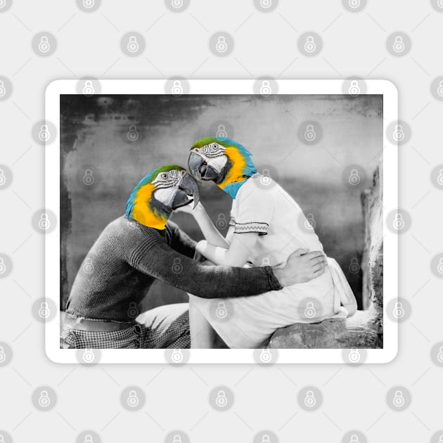 Parrot Love Collage Magnet by sartworks