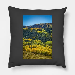 Cumbres and Toltec Narrow Gauge Railroad Pillow