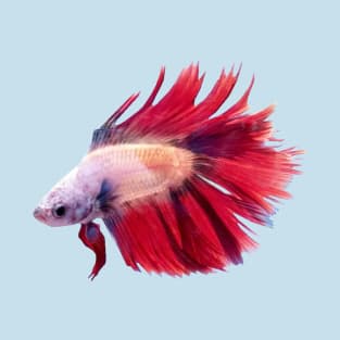 Betta Fish T-Shirt