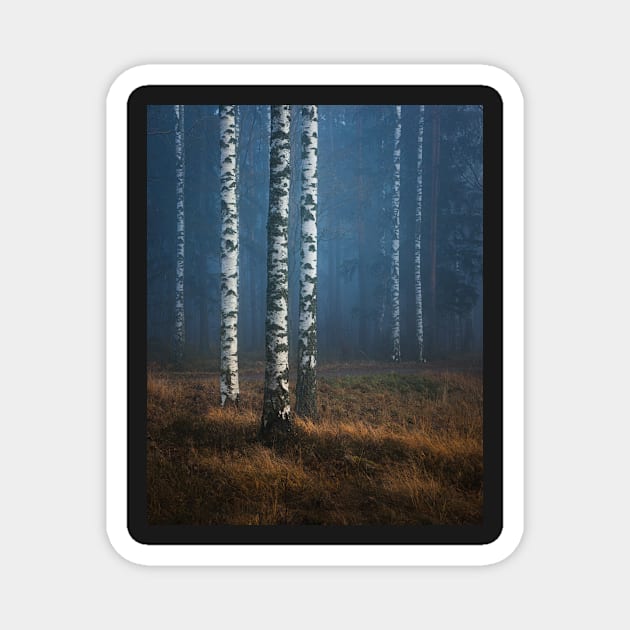 Foggy autumn forest Magnet by Juhku